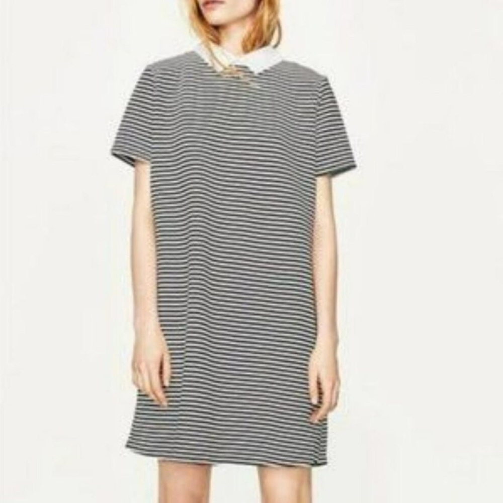 Zara Striped Short Sleeve Mini Dress with Collar size large